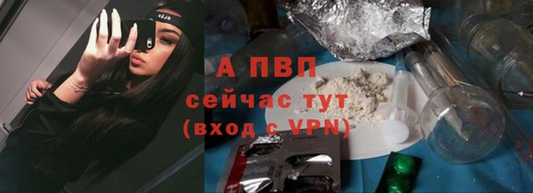 ГАЛЛЮЦИНОГЕННЫЕ ГРИБЫ Белокуриха
