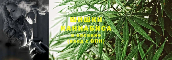 ГАЛЛЮЦИНОГЕННЫЕ ГРИБЫ Белокуриха