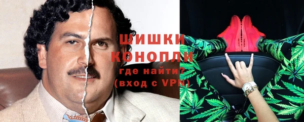 ГАЛЛЮЦИНОГЕННЫЕ ГРИБЫ Белокуриха