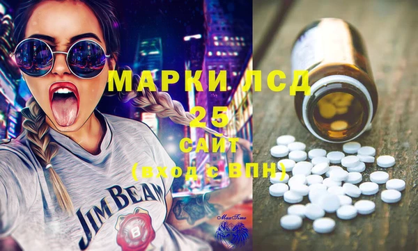 ГАЛЛЮЦИНОГЕННЫЕ ГРИБЫ Белокуриха